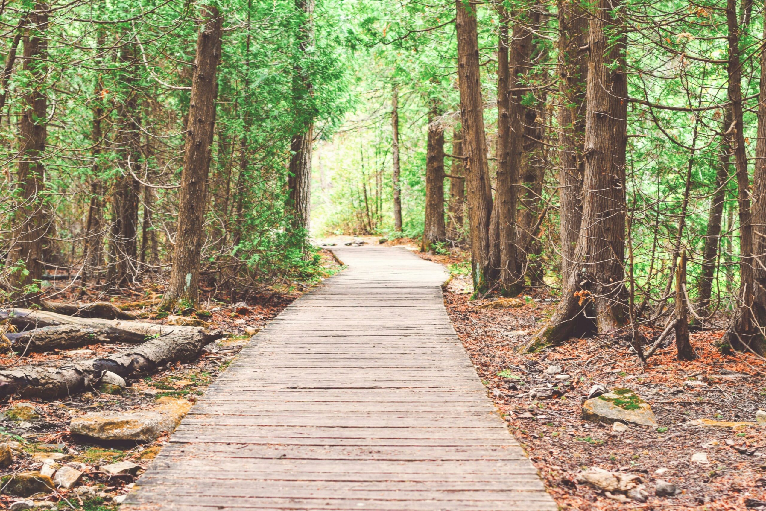 chemin à quoi s'attendre