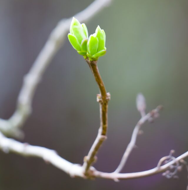 georg-eiermann-oeWQoM1THig-unsplash
